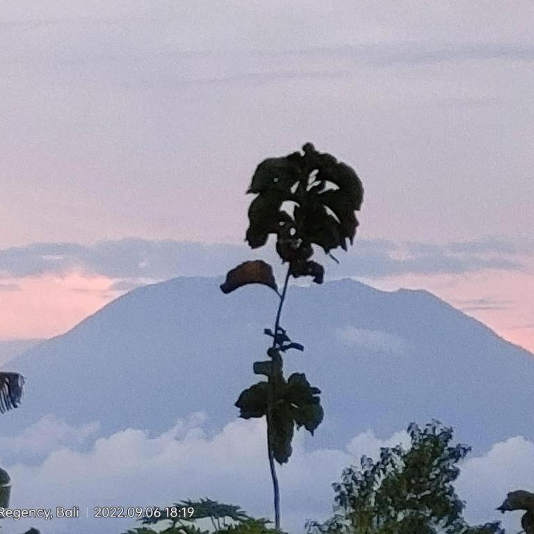 Villa Ume Tenang Nusa Penida Kültér fotó